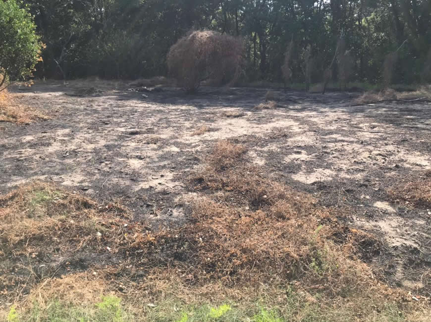 C.R.A propuso Puesto de Mando Unificado, como medida para controlar actividades ilícitas que persisten en ciénaga de Mallorquín.