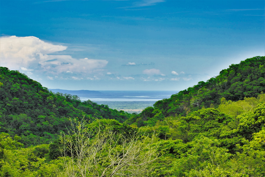 Financiación de áreas protegidas regionales, una prioridad para el Pacto Histórico