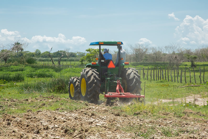 Con técnica de cincelado, C.R.A recuperó 50 ha de suelo deteriorado, para mejorar actividad agrícola.