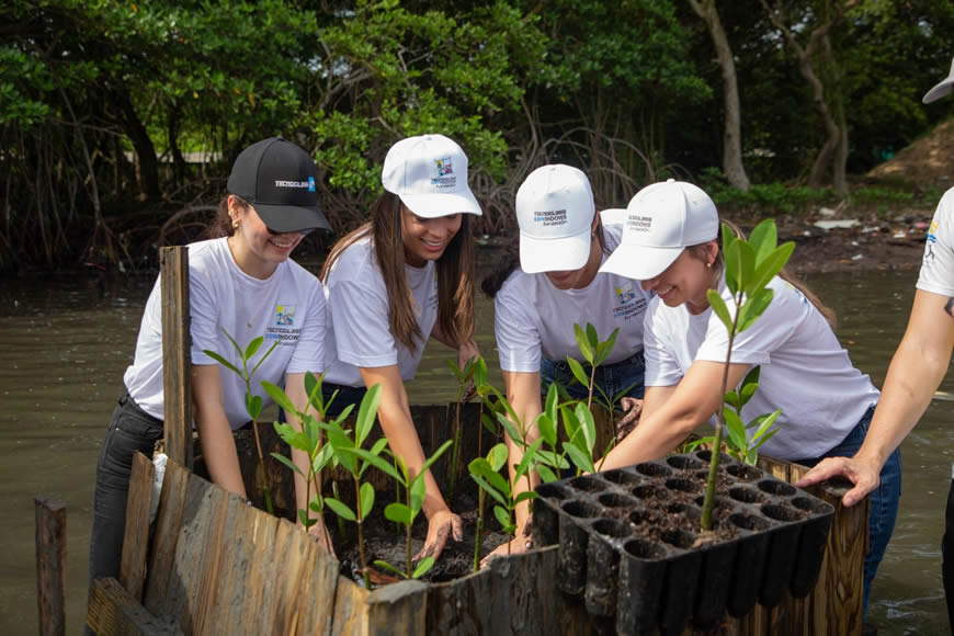Con siembras de 30 mil mangles, C.R.A. y Tecnoglass se unen por la recuperación del ecosistema en Mallorquín