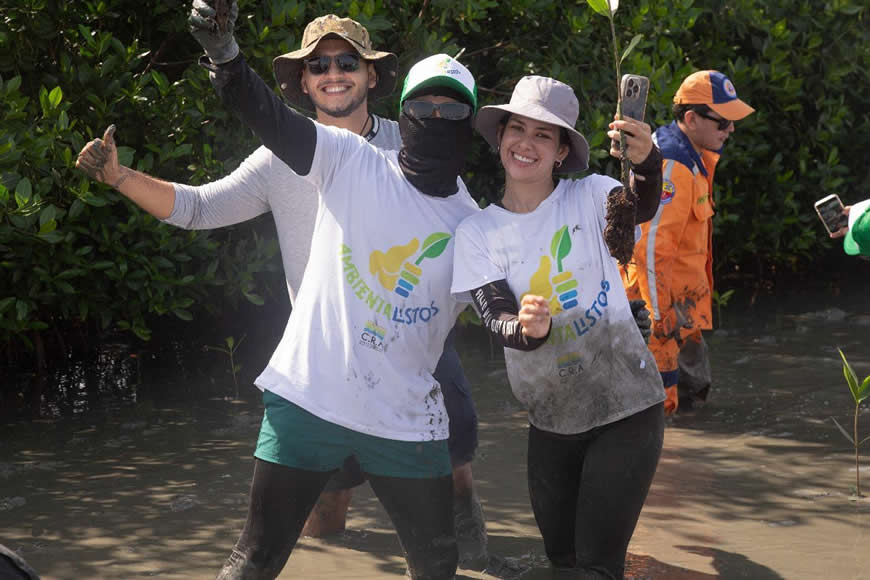 Con siembra de 10.000 plántulas de mangle, C.R.A. y Grupo Argos, continúan aportando a la restauración de la ciénaga de Mallorquín