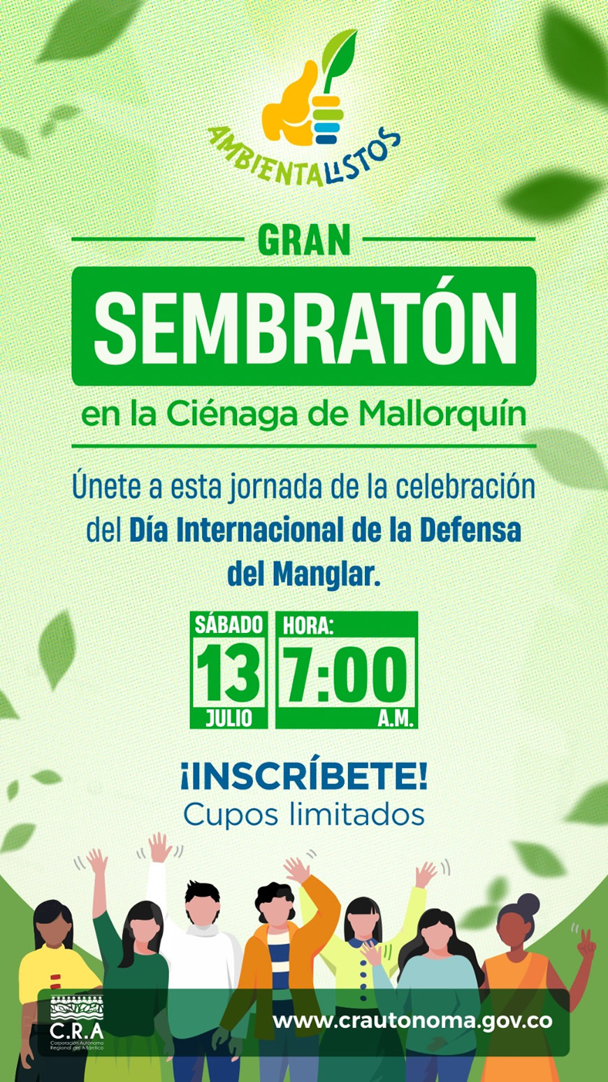 Gran sembratón en la Ciénaga de Mallorquín 